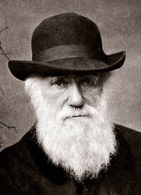 Charles_Darwin_1880.jpg