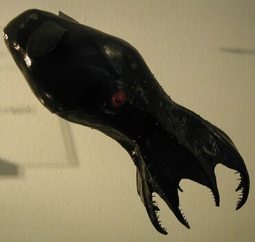 vampire-squid-flickr-2111032672_db268e72d9_c.jpg